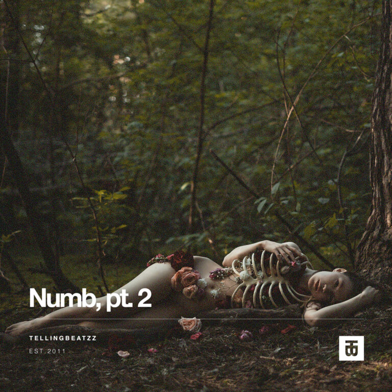 Numb, pt.2 w/ Hook