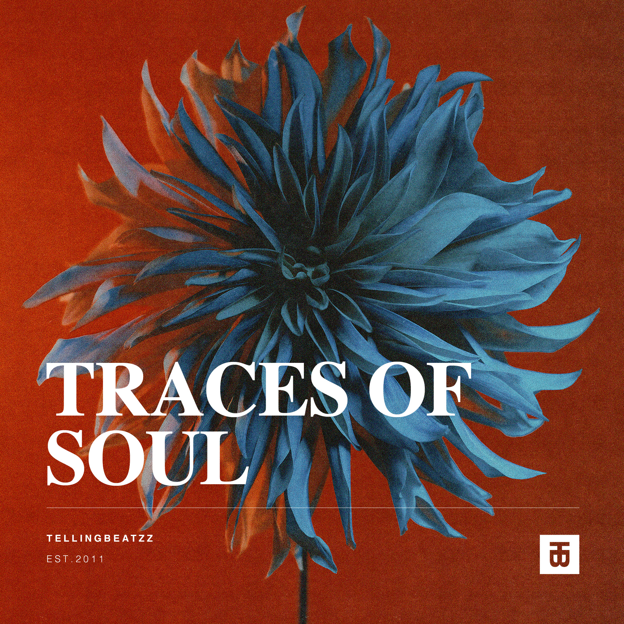 Traces of Soul Sample Pack