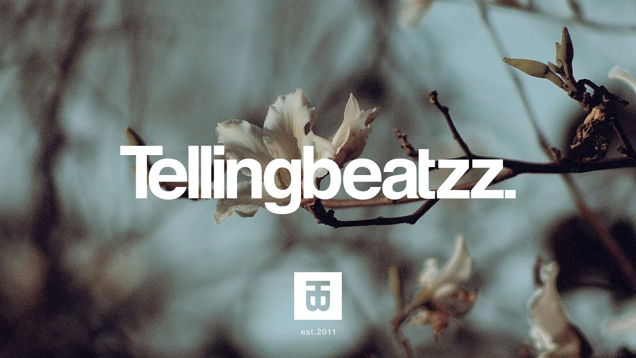 NF Type Beat with Hook