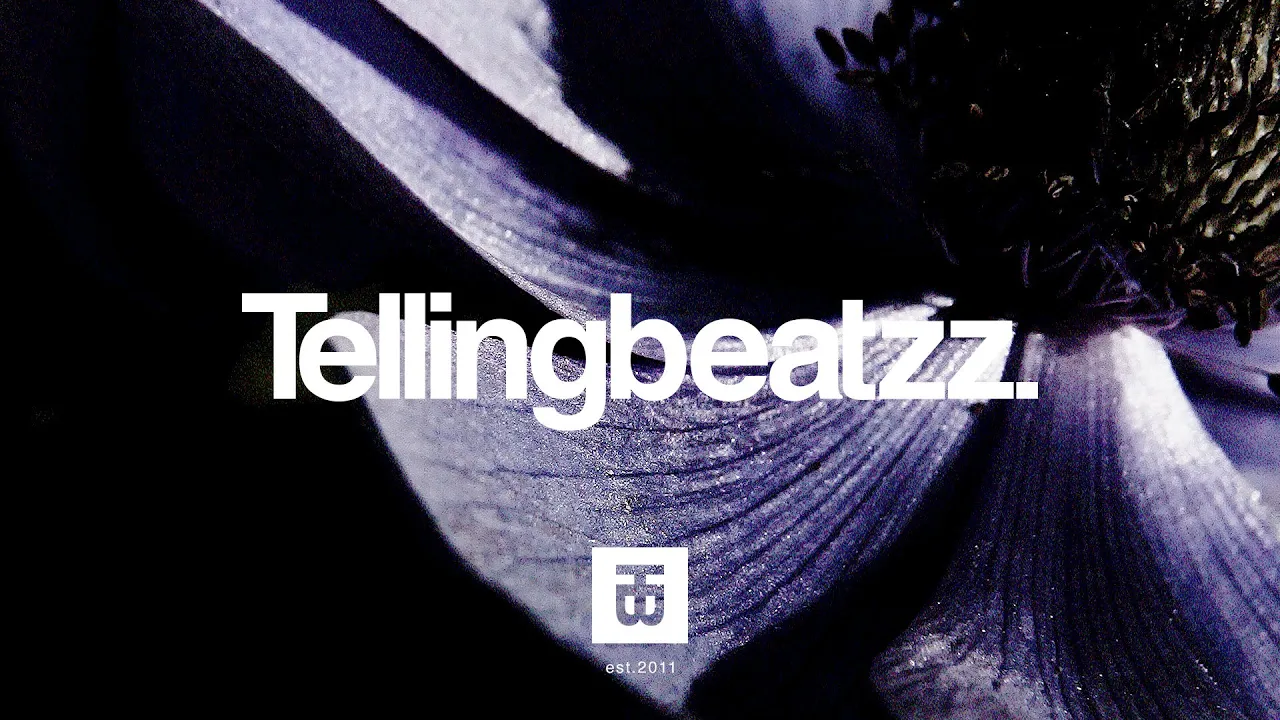 Nipsey Hussle Type Beat