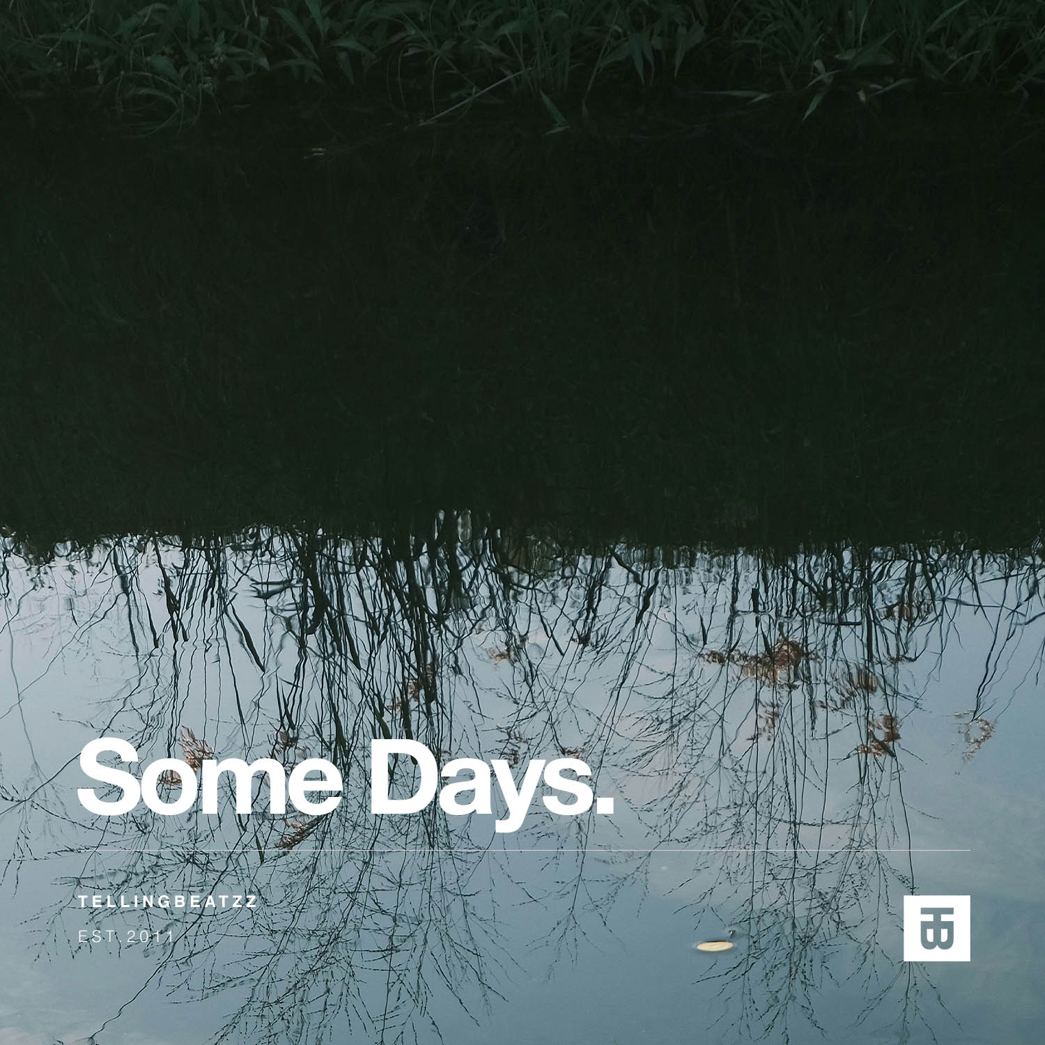 NF Type Beat with Hook