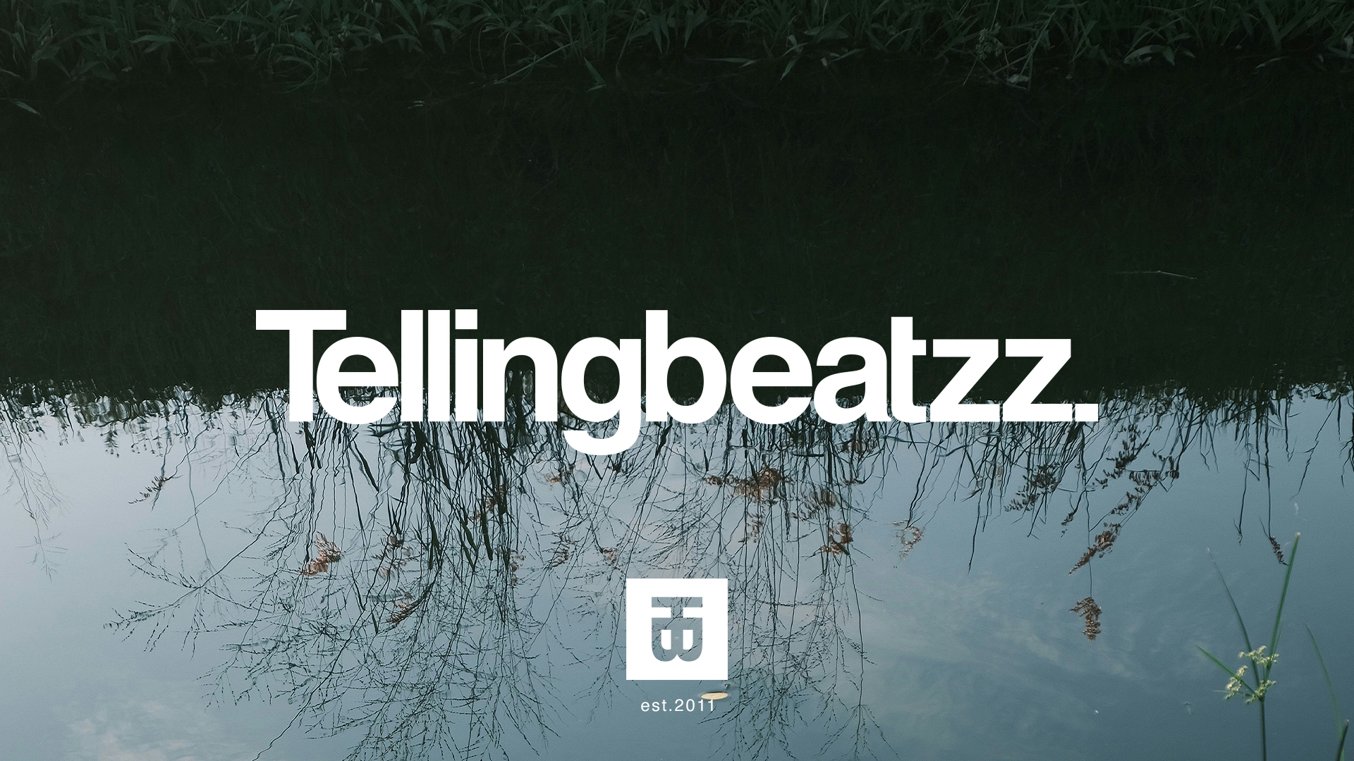 NF Type Beat with Hook